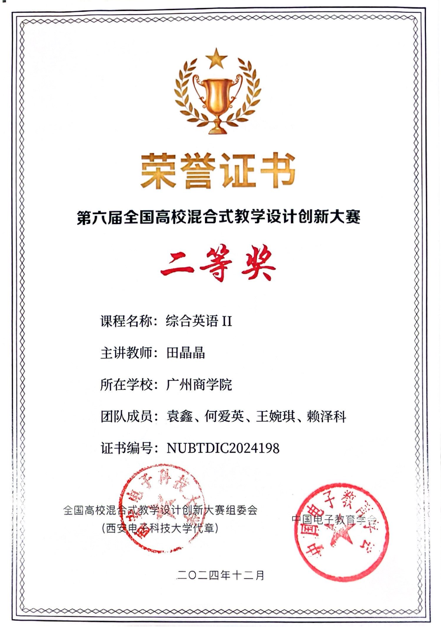 田晶晶第六届混合奖状_00_副本.png